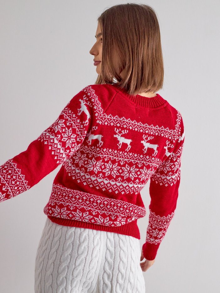 Red sweater Reindeer